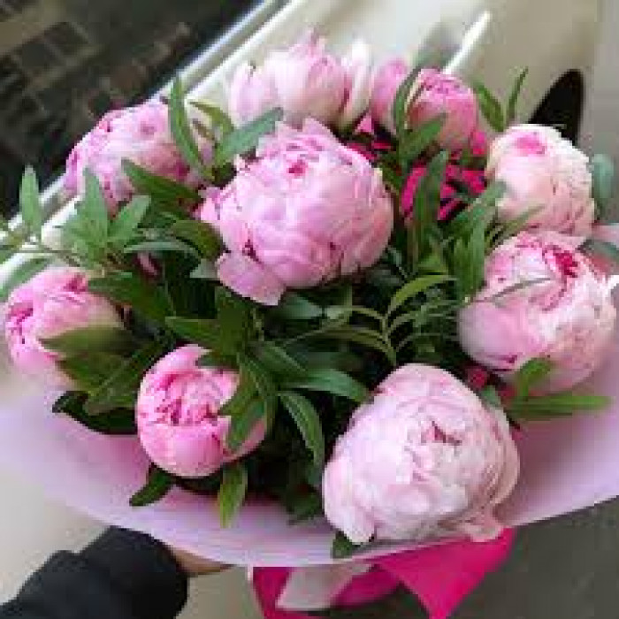 Пион древовидный в Жаркенте