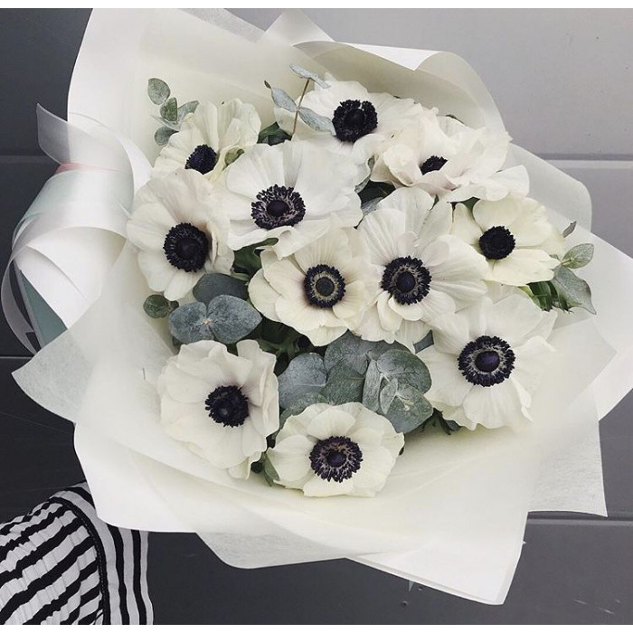 Анемоны в Жаркенте