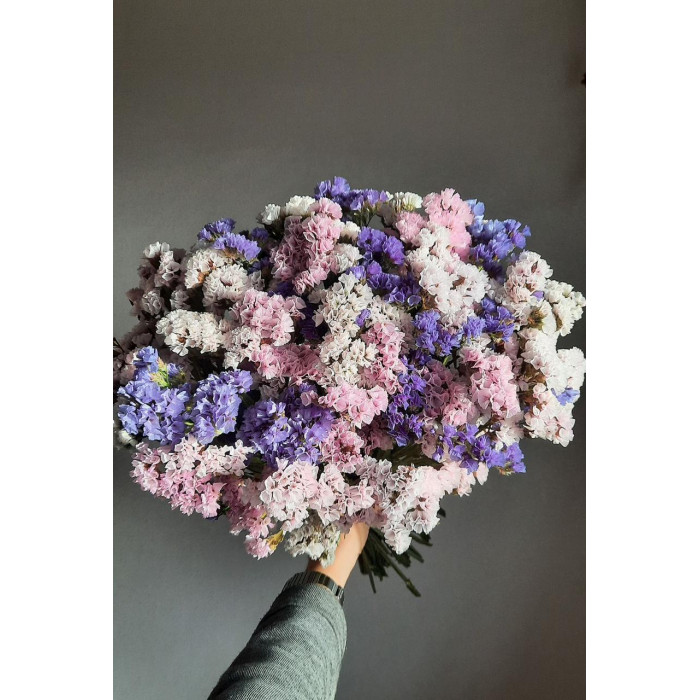 Статица (Лимониум) в Жаркенте