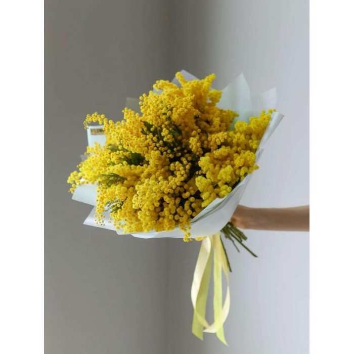 Мимоза в Жаркенте