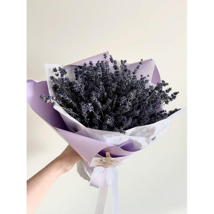 Лаванда в Жаркенте