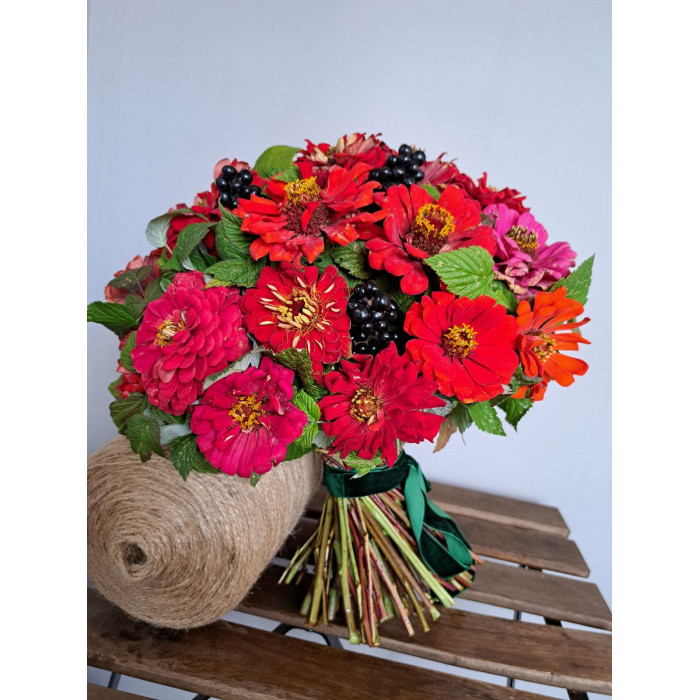 Циния в Жаркенте