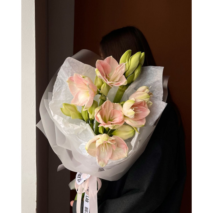 Амариллис в Жаркенте