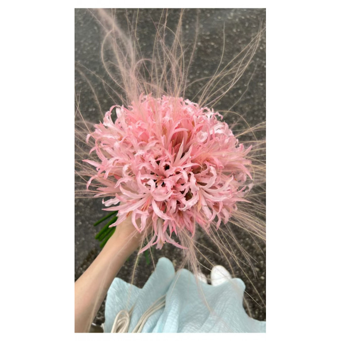 Нерине в Жаркенте