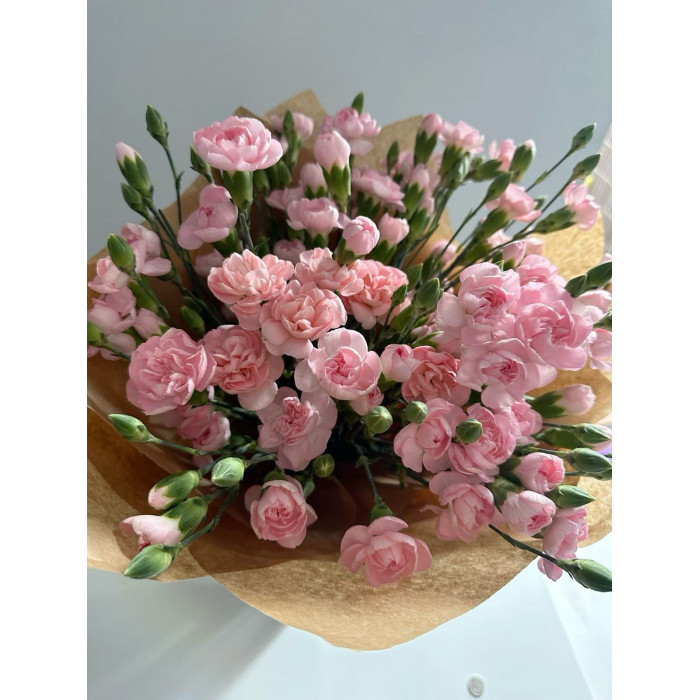 Кустовые гвоздики в Жаркенте