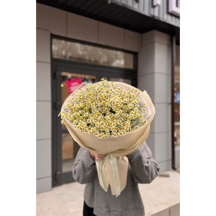 Танацетум в Жаркенте