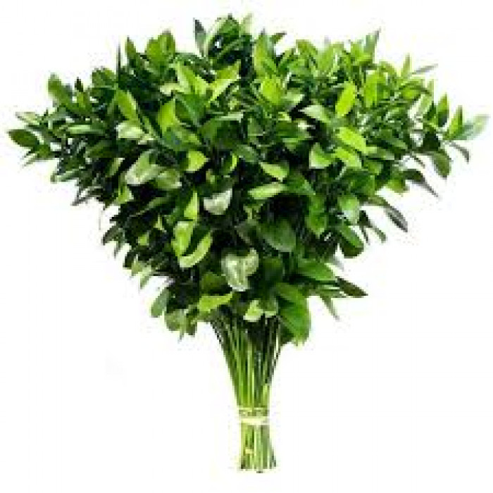 Рускус в Жаркенте