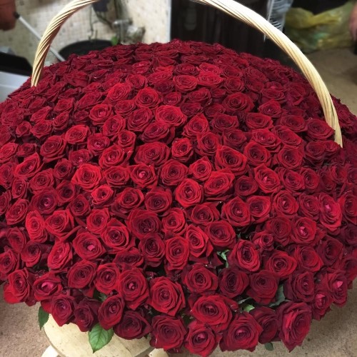 Купить на заказ 1001 роза с доставкой в Жаркенте
