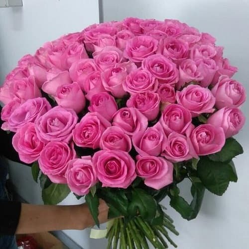 Купить на заказ Букет из 75 розовых роз с доставкой в Жаркенте