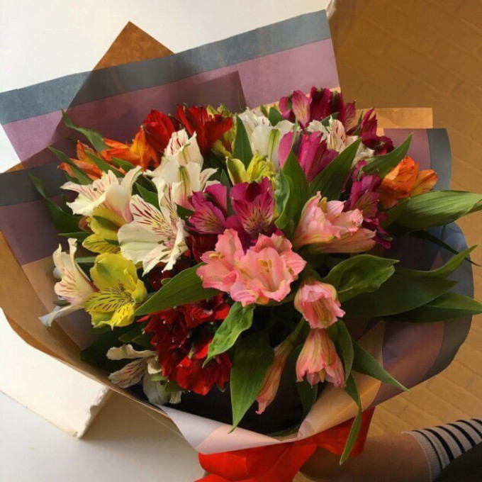 Carpe diem Carpe diem