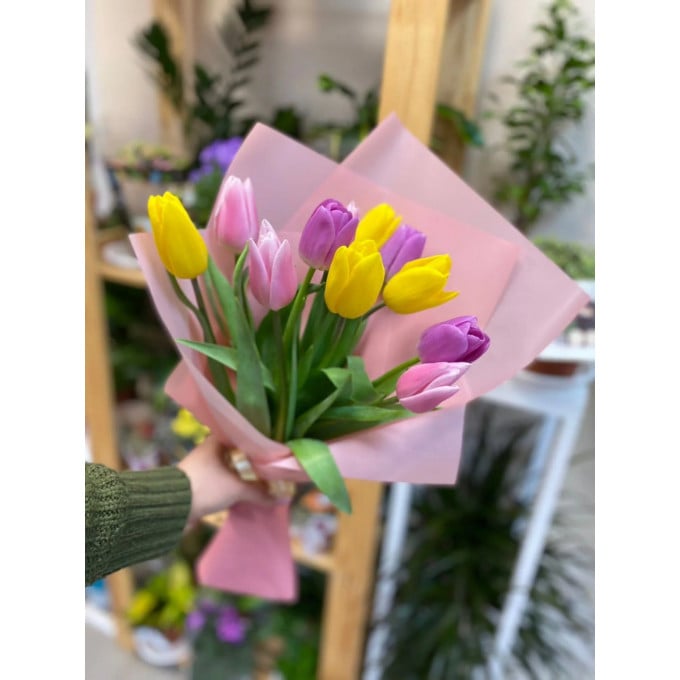 11 тюльпанов 11 тюльпанов